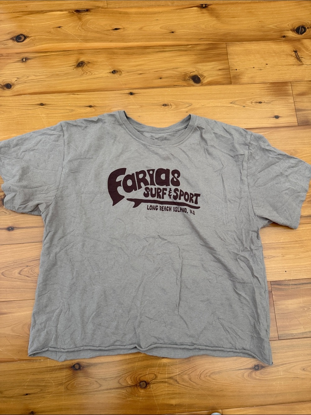 Farias Surf & Sport LBI Graphic crop Tee in Gray/ brown